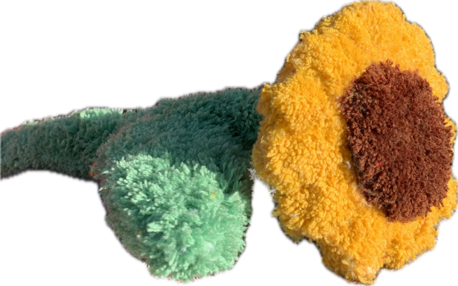 Tournesol