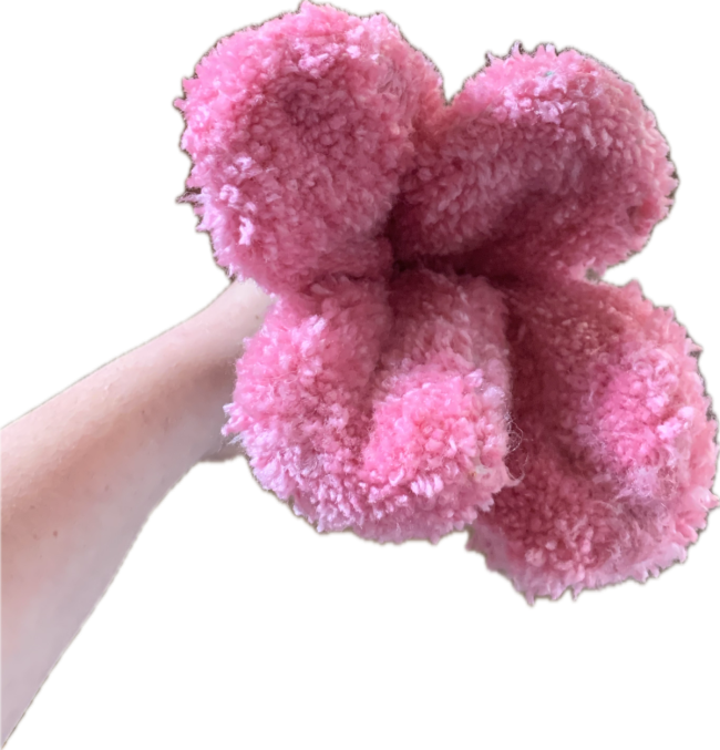 Tulipe